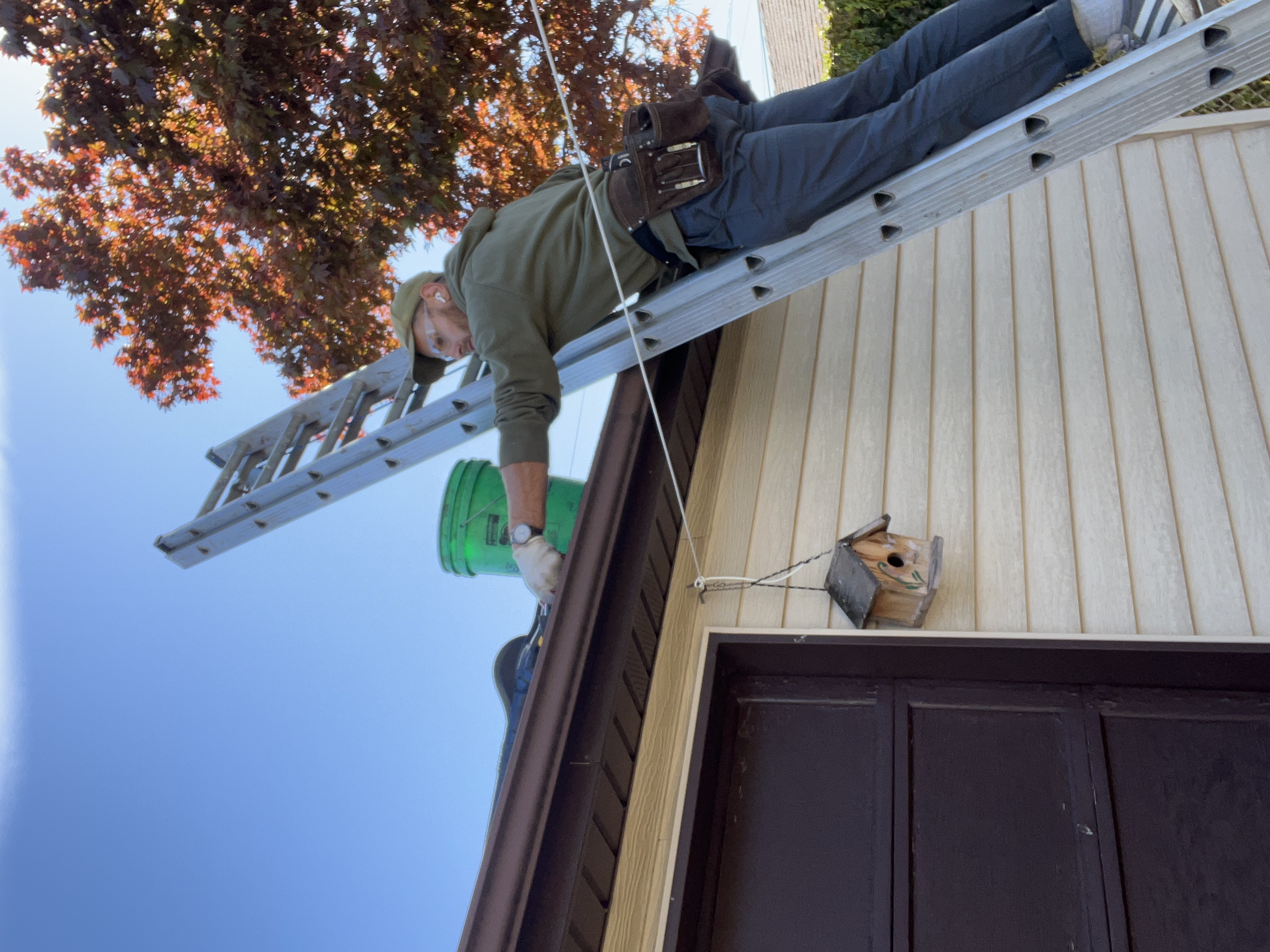 Gutter Cleaning